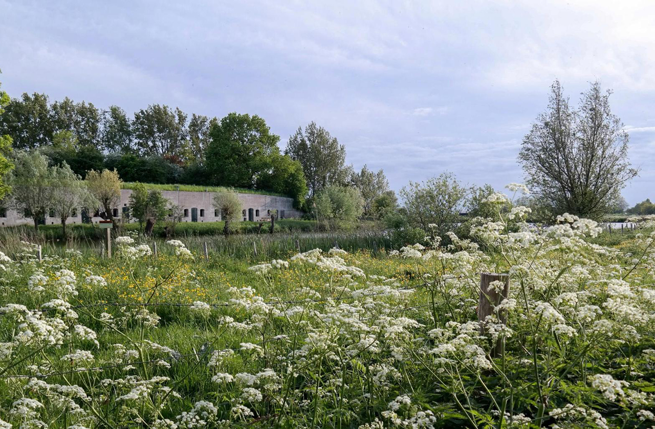 Voorjaarsactiviteiten Buurtkamer Meerwijk