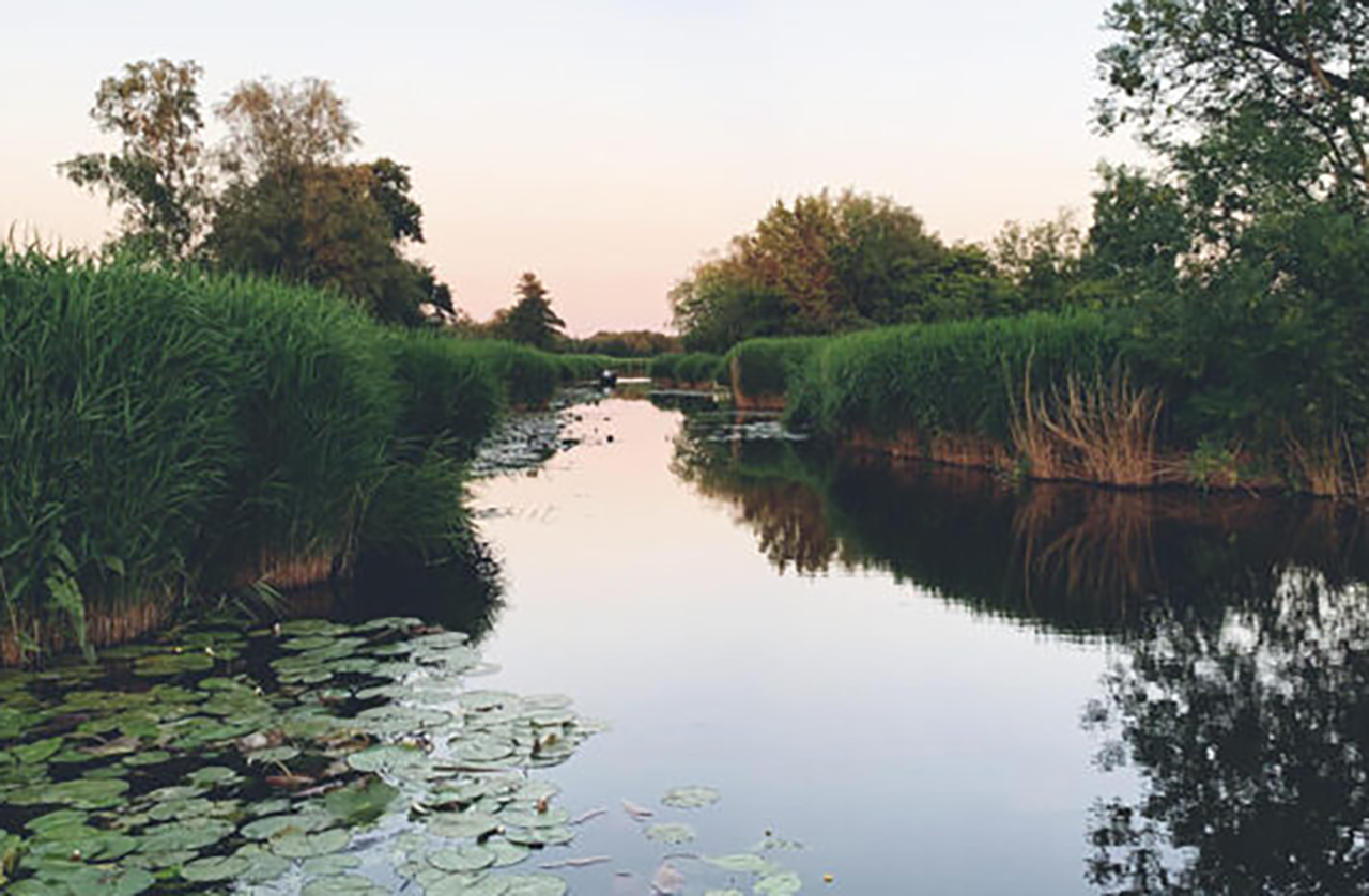 Betere waterkwaliteit en hogere grondwaterstand dringend nodig in Botshol