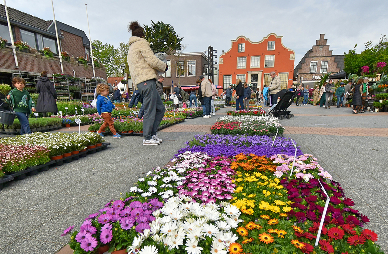 Plantenmarkt op Raadhuisplein