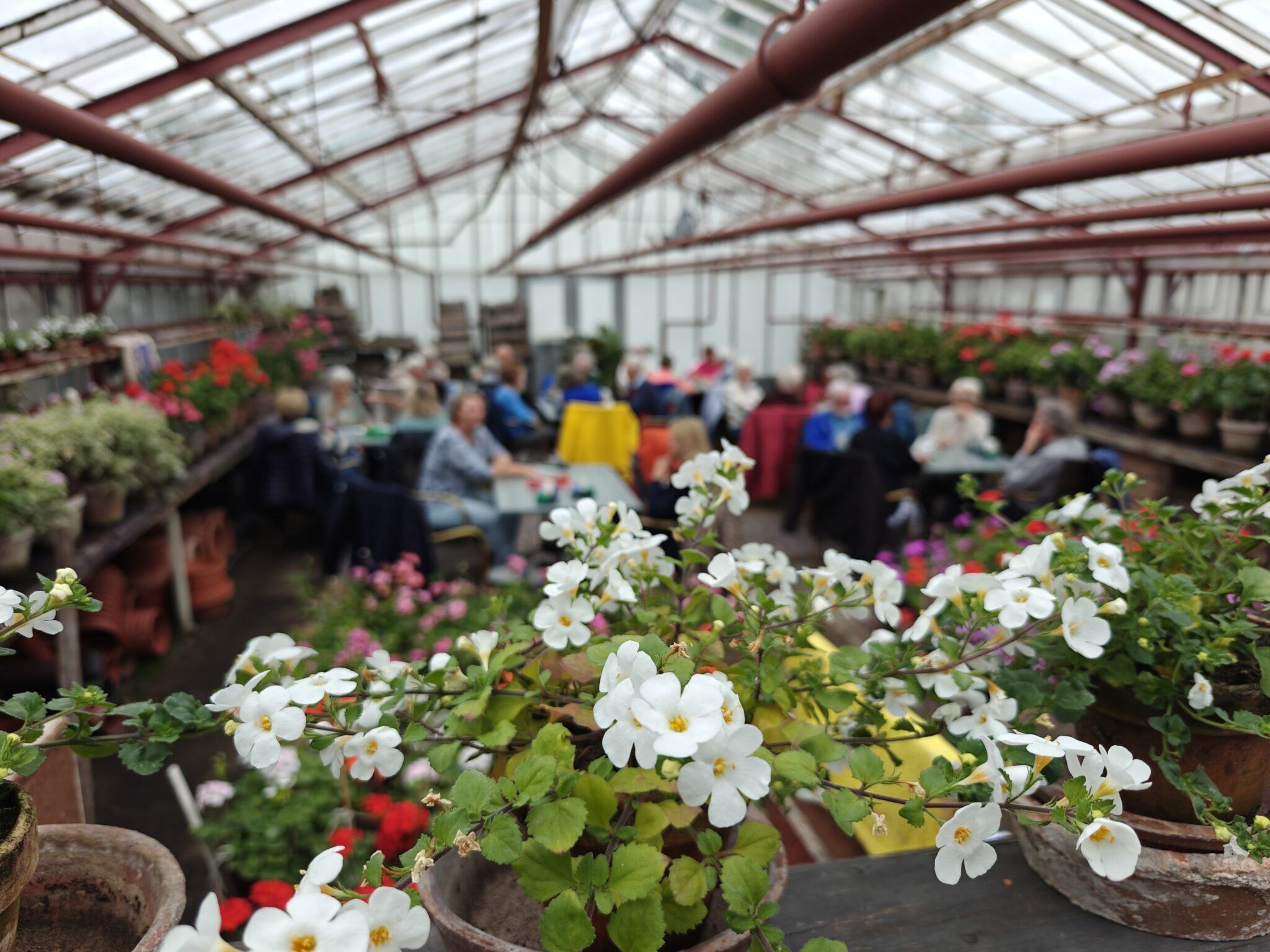 Gezelligheid troef tijdens Bridge Kroegentocht