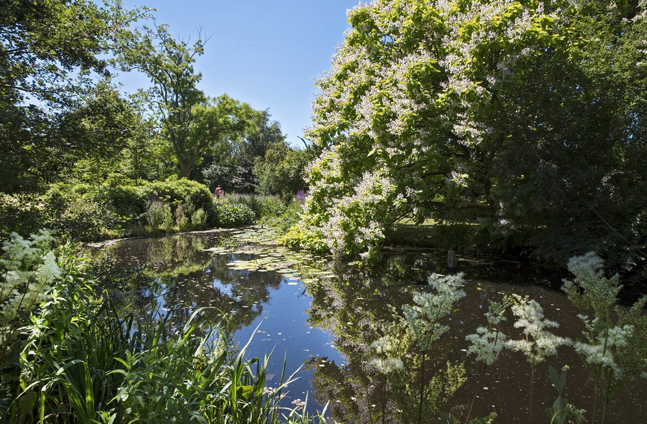 Open middag in natuurtuin Bram de Groote