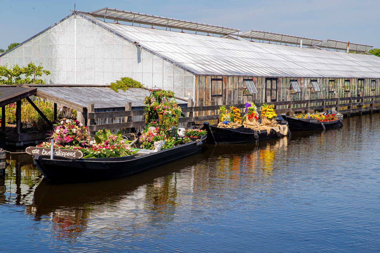 Honderden bezoekers bij Aalsmeer Flower Festival