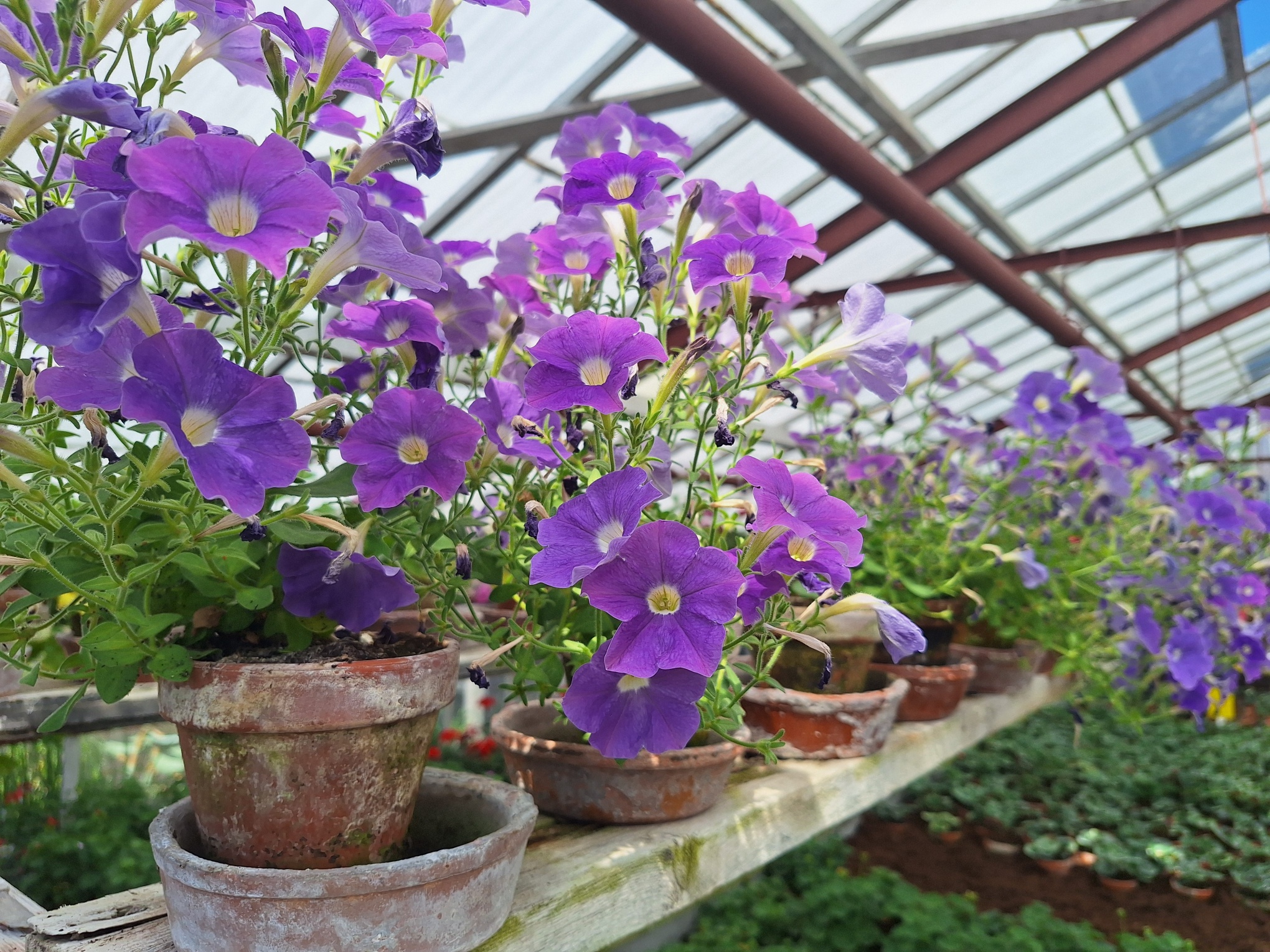 Zaterdag 2 activiteiten in Historische Tuin