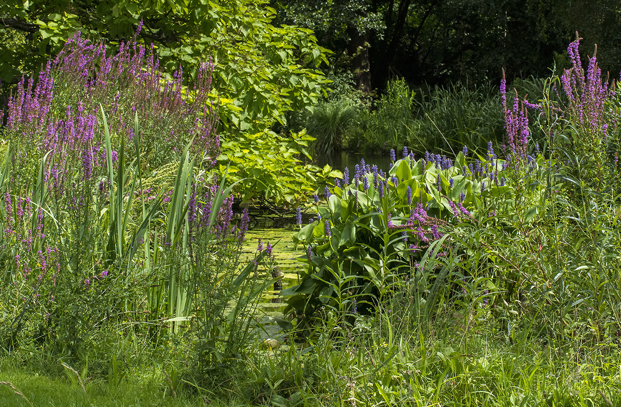 Open dag natuurtuin Bram de Groote