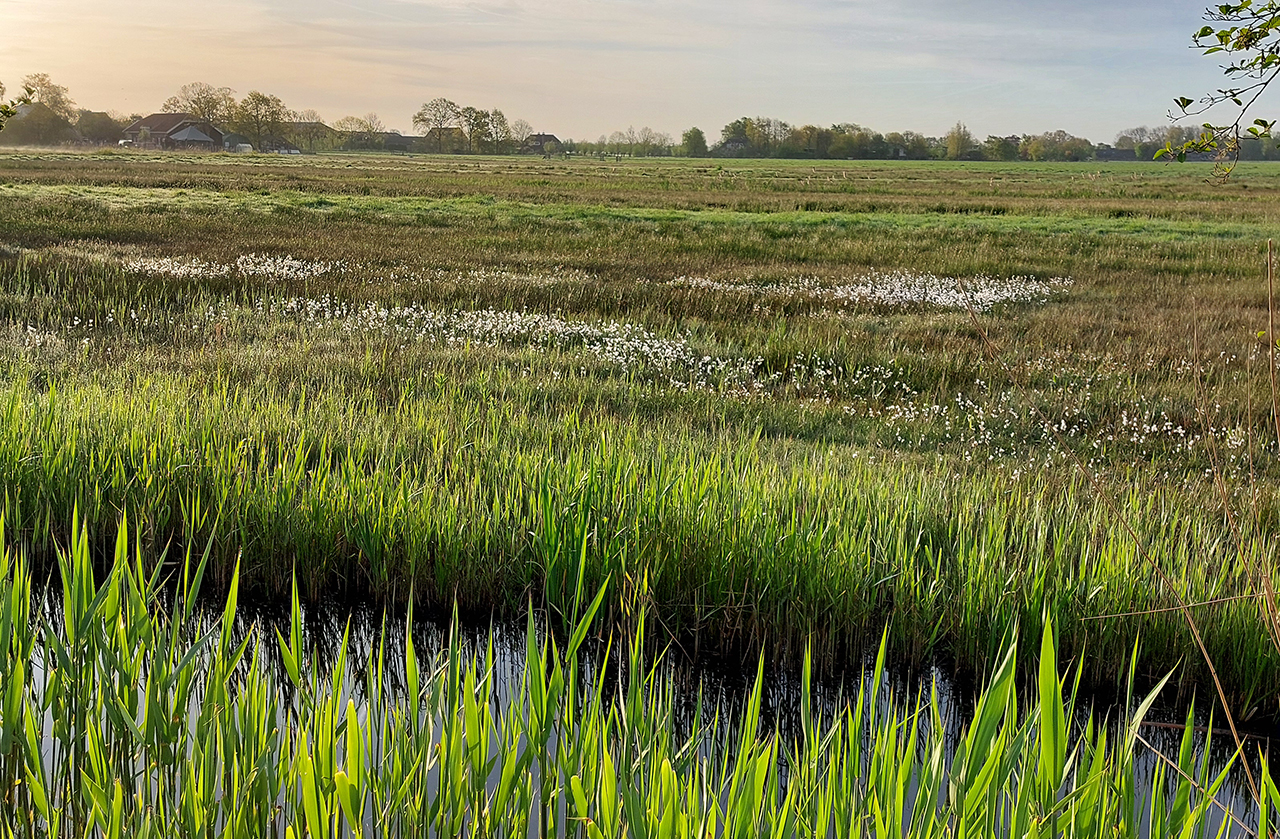 De laatste IVN zomerfietstocht met natuurpraatje