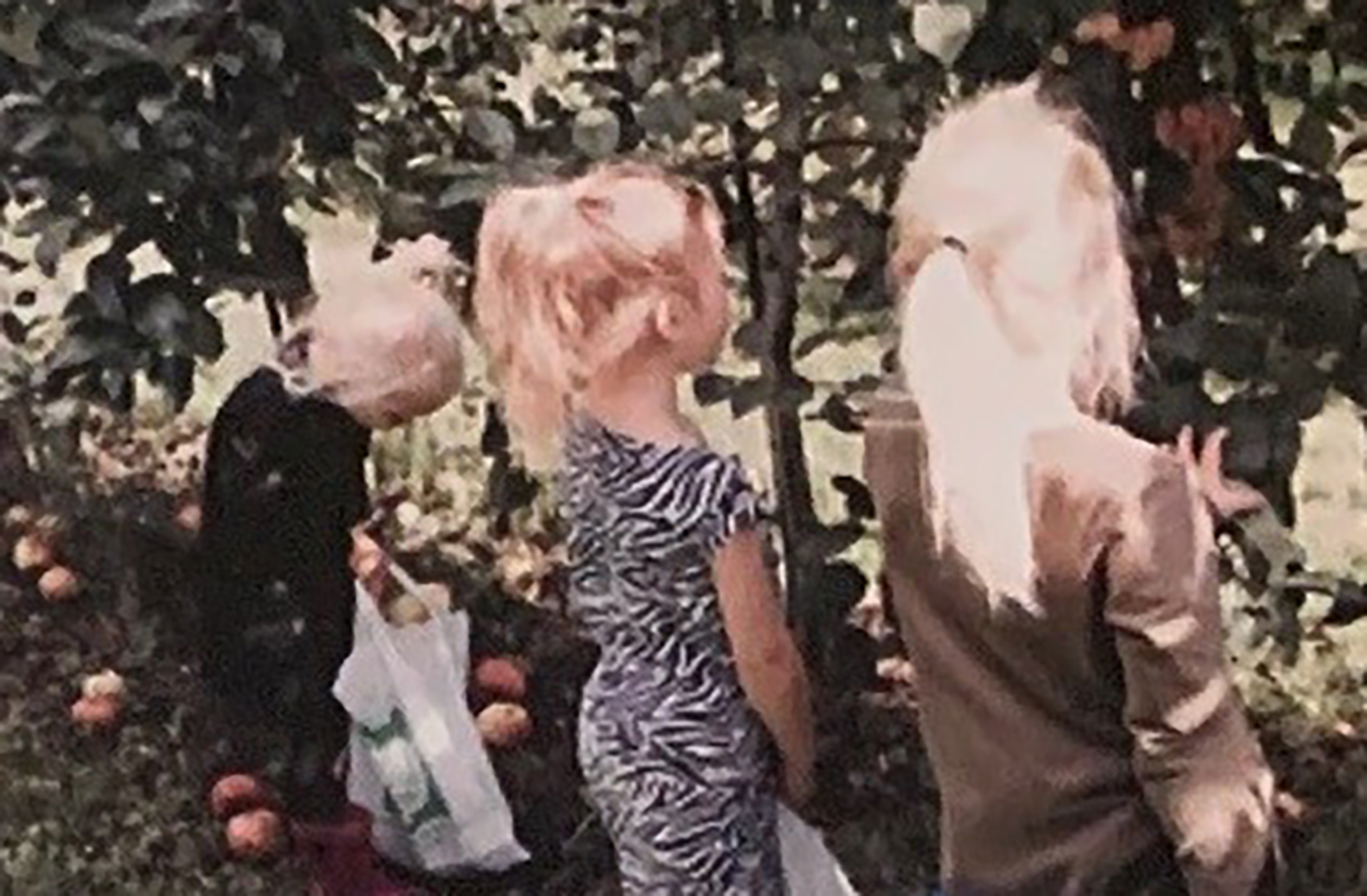 Fruit plukken en genieten bij Ruizendaal
