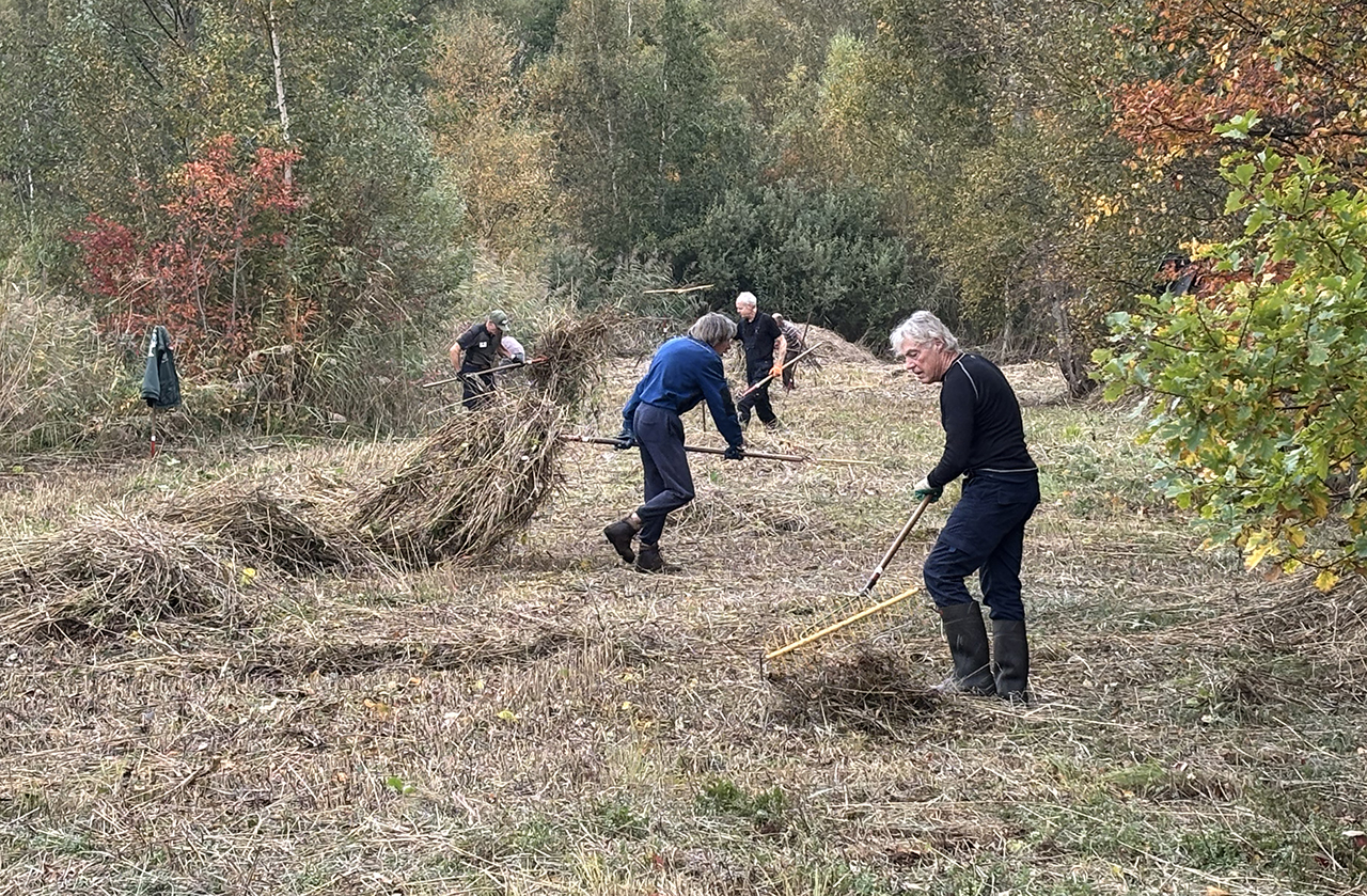 Knotgroep ook aan de slag in Botshol