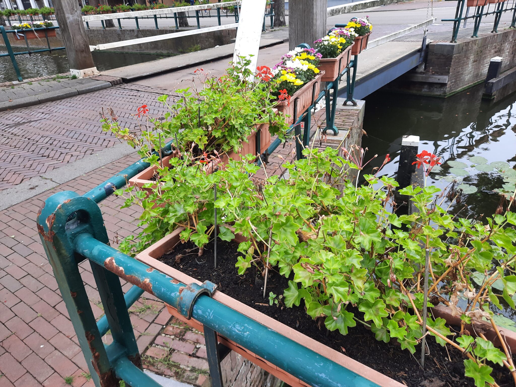 Feestweek bestuur vervangt vernielde plantenbakken